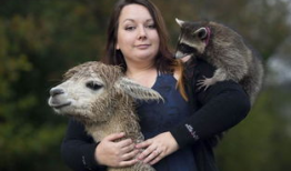 欧美女人与动物交配视频