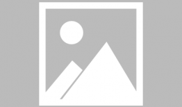 色播视频,内容解析与影响探讨